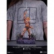 Figure He-Man Master of the Universe
