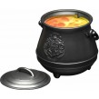 Light Cauldron BDP - Harry Potter