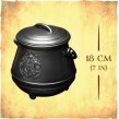 Light Cauldron BDP - Harry Potter