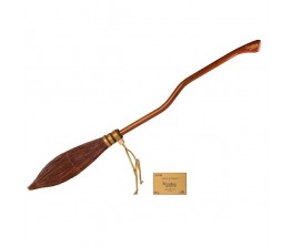 Replica of Nimbus 2000