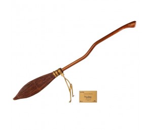 Replica of Nimbus 2000