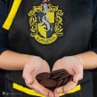 Apron Hufflepuff - Harry Potter