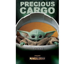 Poster Star Wars The Mandalorian - Precious Cargo
