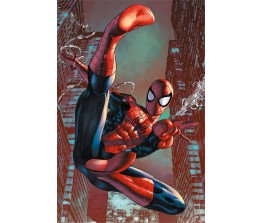 Poster Spiderman - Web Sling