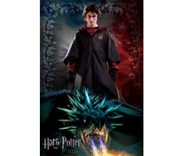 Poster Harry Potter and the Goblet of Fire-dragon 