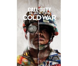 Poster Call of Duty Black Ops Cold War - Split