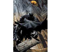 Poster DC Batman - Night Watch