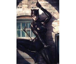 Poster DC Catwoman - Spot Light