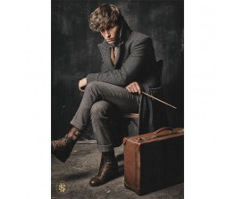 Poster Newt Scamander - Fantastic Beasts
