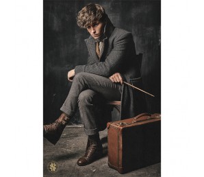 Poster Newt Scamander - Fantastic Beasts