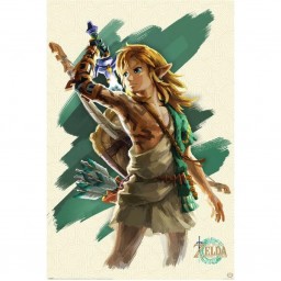 Poster Link Tears of the Kingdom - Zelda