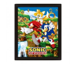 Frame 3D Catching Rings - Sonic