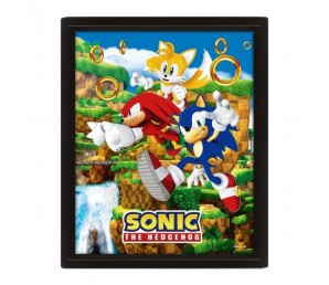 Frame 3D Catching Rings - Sonic