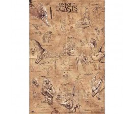 Poster Beasts - Fantastic Beasts