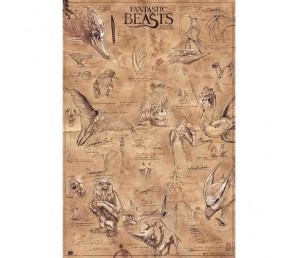 Poster Beasts - Fantastic Beasts