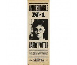 Door Poster Undesirable No1 - Harry Potter