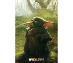 Poster The Child - The Mandalorian