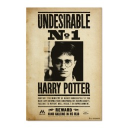 Poster Undesirable No1 - Harry Potter