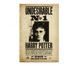 Poster Undesirable No1 - Harry Potter