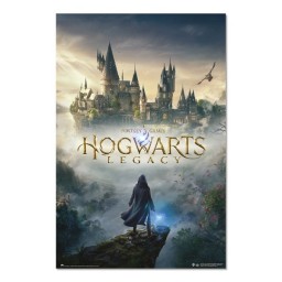 Poster Harry Potter Legacy