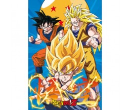 Poster 3 Gokus Evolutions - Dragon Ball Z